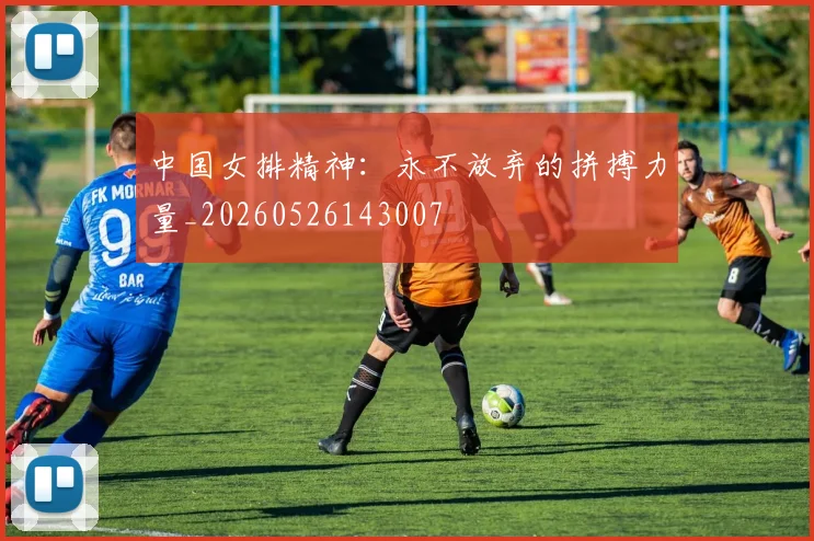中国女排精神:永不放弃的拼搏力量_20260526143007